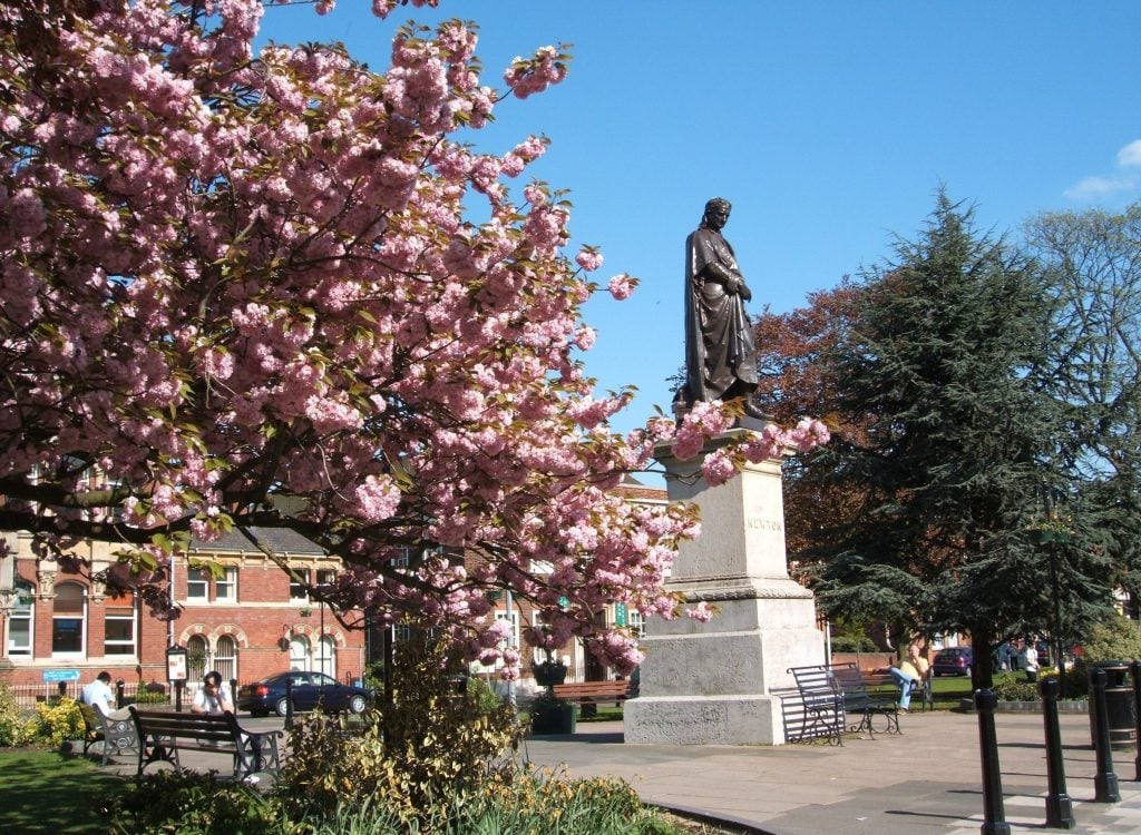 Sir Issac with blossom